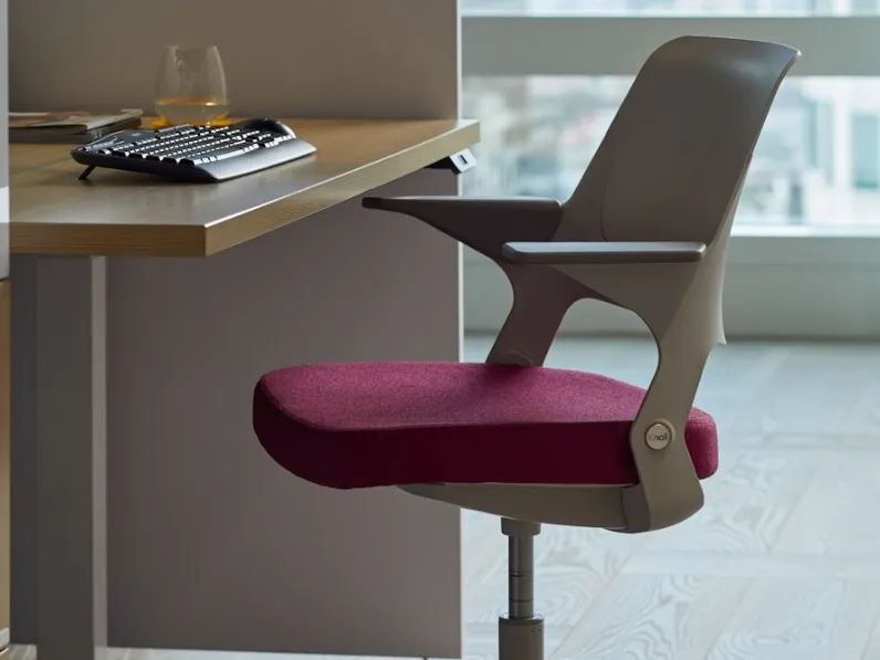 Seduta Operativa Ollo with Shell Back di Knoll