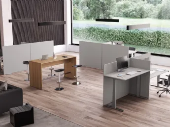 Operativa Funny 2019 Up Grade