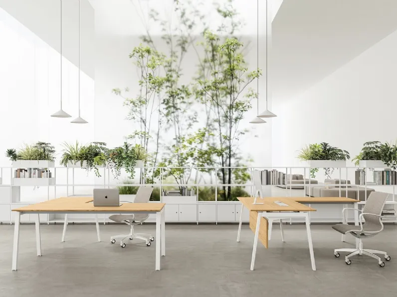 Scrivania Operativa Pag A DV802 di DVO