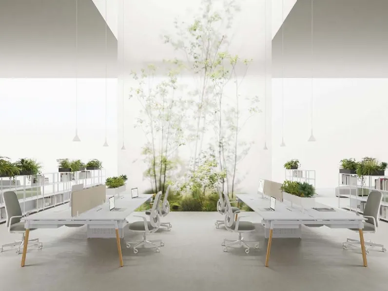 Scrivania Operativa Pag Wood DV802 di DVO