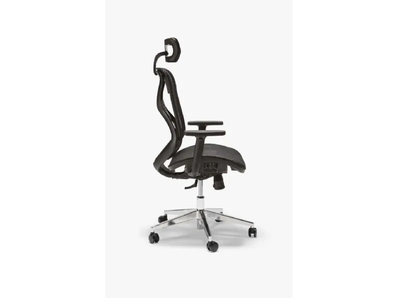 Poltrona Direzionale D1062 di AF Ferrero