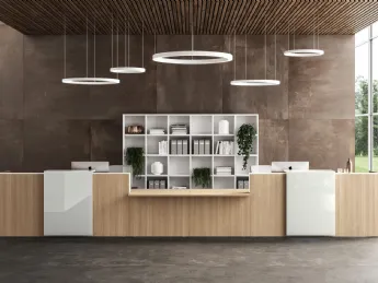 Reception Funny 2019 05