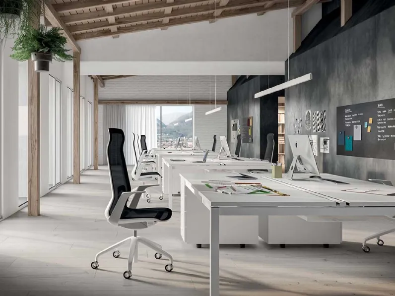 Sedia Operativa di design Ode regolabile in altezza in rete di nylon di Quadrifoglio