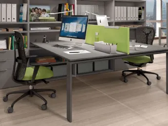 Seduta Operativa Flexa