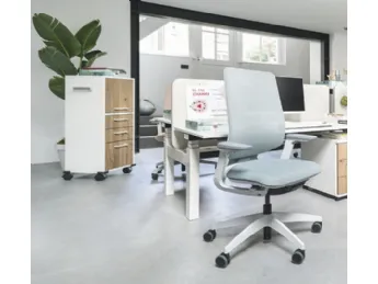 Seduta Operativa Se:flex