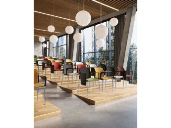 Seduta Visitatore Noma